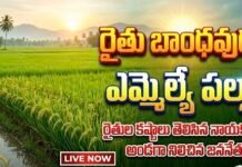 రైతు బాంధవుడు ఎమ్మెల్యే పల్లా